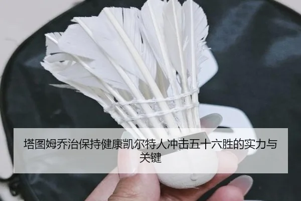 塔图姆乔治保持健康凯尔特人冲击五十六胜的实力与关键